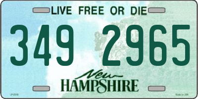 NH license plate 3492965