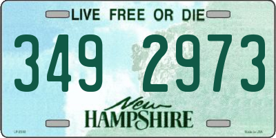 NH license plate 3492973