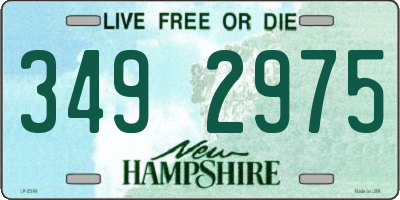 NH license plate 3492975