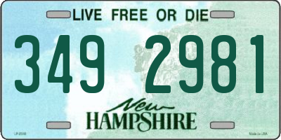 NH license plate 3492981