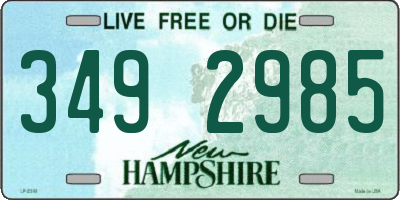 NH license plate 3492985