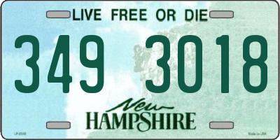 NH license plate 3493018