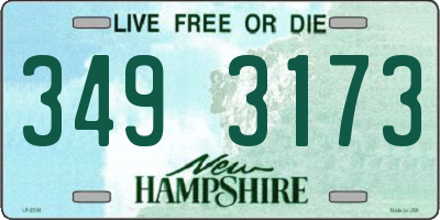 NH license plate 3493173