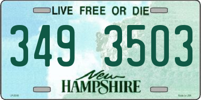 NH license plate 3493503