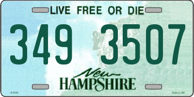 NH license plate 3493507