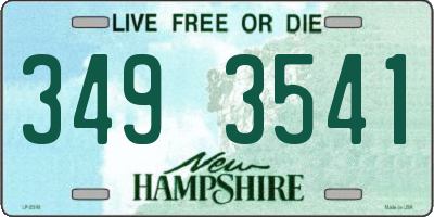 NH license plate 3493541