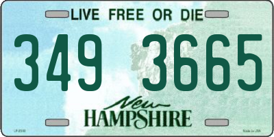 NH license plate 3493665