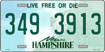 NH license plate 3493913