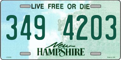 NH license plate 3494203
