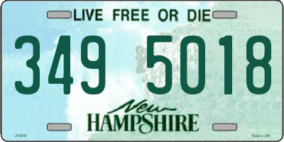 NH license plate 3495018