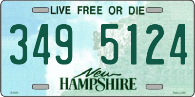 NH license plate 3495124
