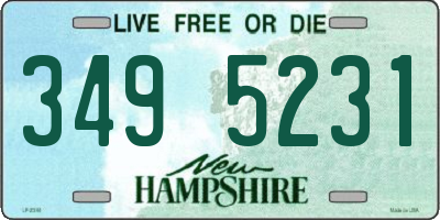 NH license plate 3495231