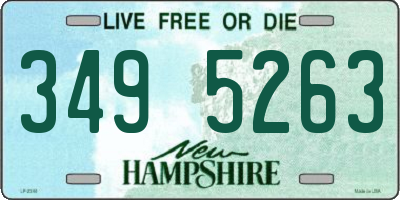 NH license plate 3495263