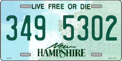 NH license plate 3495302