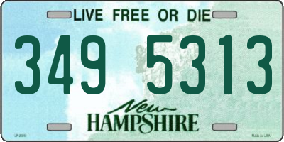 NH license plate 3495313