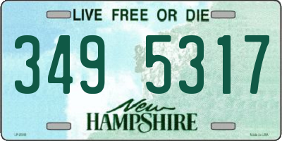 NH license plate 3495317