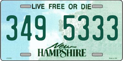NH license plate 3495333
