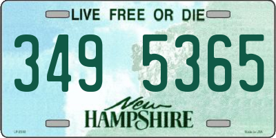 NH license plate 3495365