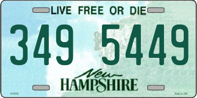 NH license plate 3495449
