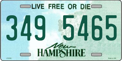 NH license plate 3495465