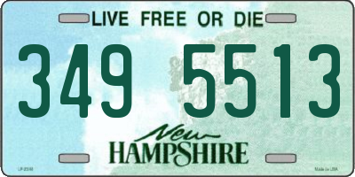 NH license plate 3495513
