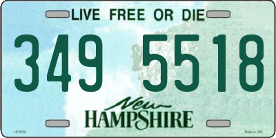 NH license plate 3495518