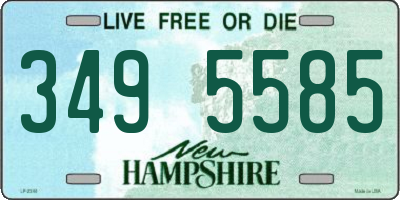NH license plate 3495585