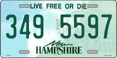 NH license plate 3495597