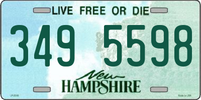 NH license plate 3495598