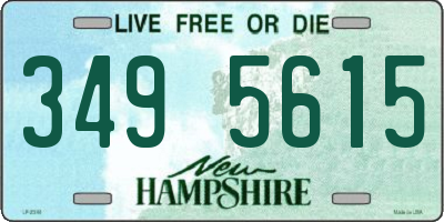 NH license plate 3495615