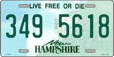 NH license plate 3495618