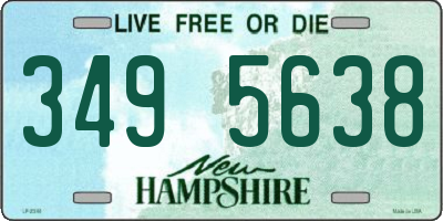 NH license plate 3495638