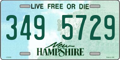 NH license plate 3495729