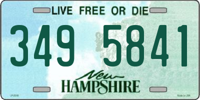NH license plate 3495841