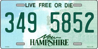 NH license plate 3495852