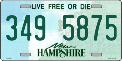 NH license plate 3495875