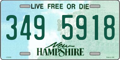 NH license plate 3495918