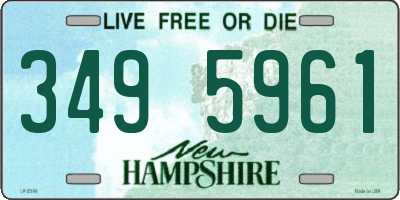 NH license plate 3495961