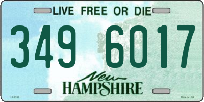 NH license plate 3496017