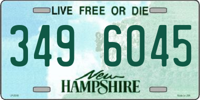 NH license plate 3496045