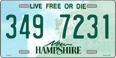 NH license plate 3497231