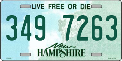 NH license plate 3497263