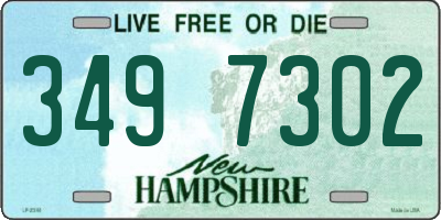 NH license plate 3497302