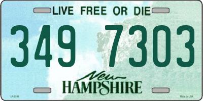NH license plate 3497303
