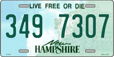 NH license plate 3497307