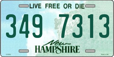 NH license plate 3497313
