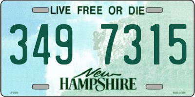 NH license plate 3497315