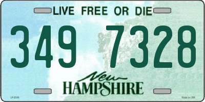 NH license plate 3497328