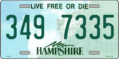 NH license plate 3497335