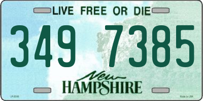 NH license plate 3497385